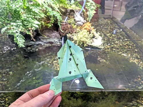 Science Studio: Origami