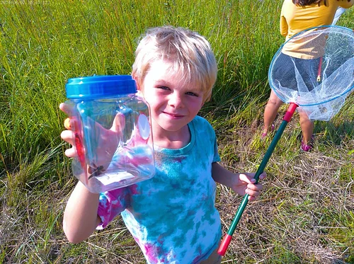 Sunfish Explorers: Bugology (Day 4 of 4)