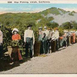 Saturday Afternoon Soiree: Celebrating the History and Diversity of Agriculture in Mendocino County