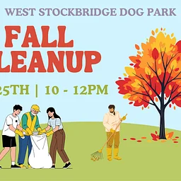 Fall Cleanup