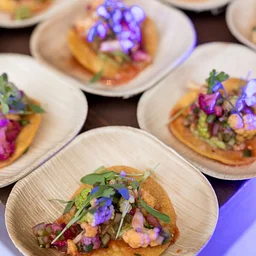 The Taco Party