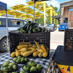 Lonestar Farmers Market at Springdale General - Every Sunday 10am-2pm