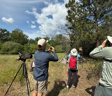 Birding Extravaganza in the Fort Garden and River
