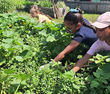 Grow & Gather: Family Gardening Program