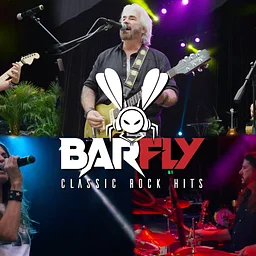 BAR FLY