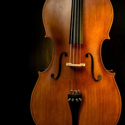 Fiddle Jam
