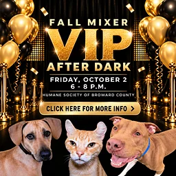 FALL MIXER VIP AFTER DARK