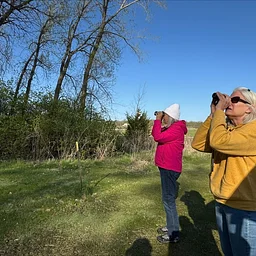 Birding on the Green