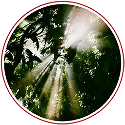 Light Beyond Shadow: A Musical Journey