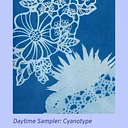 Sampler Session: Cyanotype