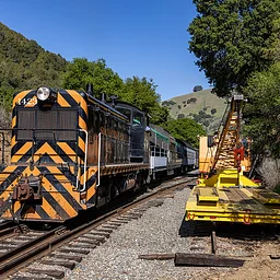 Diesel Train