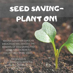 Seed Saving – Plant On!