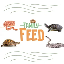 Family Feed