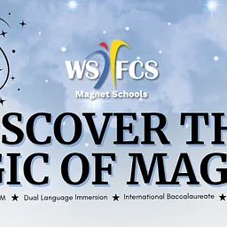 Discover the Magic of Magnet