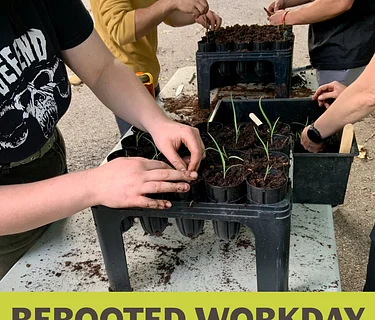 FULL: ReRooted Workday