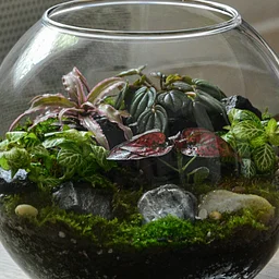 "Watercolor Stories" After-Hours Experiences: Terrarium Workshop: Build Your Own Tiny World