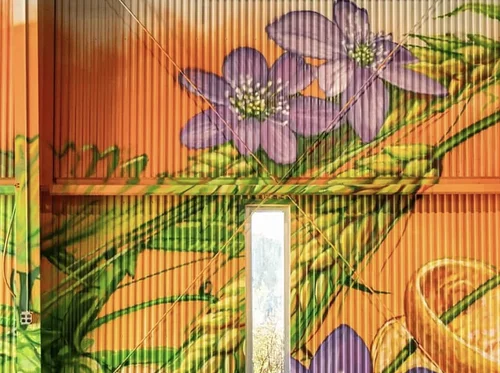 Paint Craze Work shop