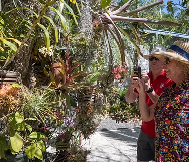 Go Public Gardens Days