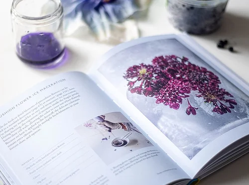 Artist + Natural Plant Dyer Natalie Stopka Book Signing & Demo