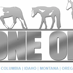 Zone One - APHA (Silverado Arena)