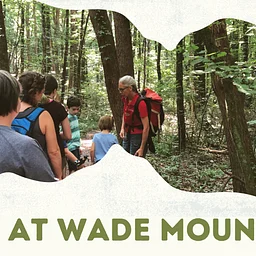 Hump Day Hike at Wade Mountain