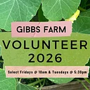 Friday Volunteer Days August 7