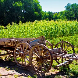 All About Agriculture (August 15)