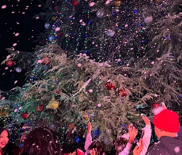 Brea Tree Lighting Ceremony