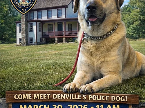 Meet Mac, Denville’s Police Dog!
