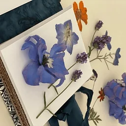 Travelers Flower Press Bookmaking with Claire Formilan