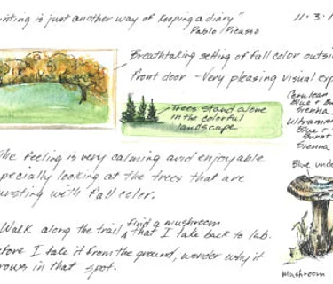 Nature Journaling
