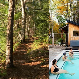 Stewardship and Sauna Workday