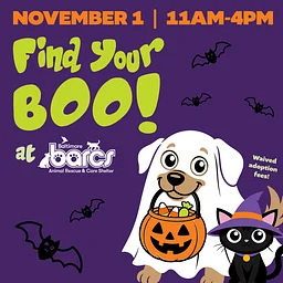 Find Your BOO!