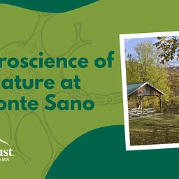 Neuroscience of Nature at Monte Sano Nature Preserve