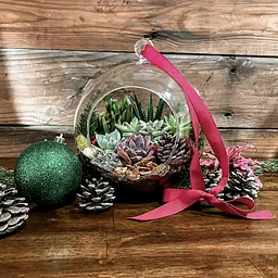 Succulent Ornament Workshop