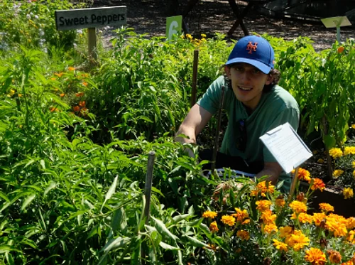 Urban Farm Volunteers