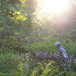 Mindfulness Meditation Walk (9/12)