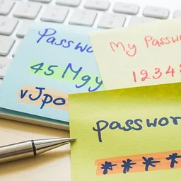 Lunch and Learn: Getting Started with Bitwarden Password Manager