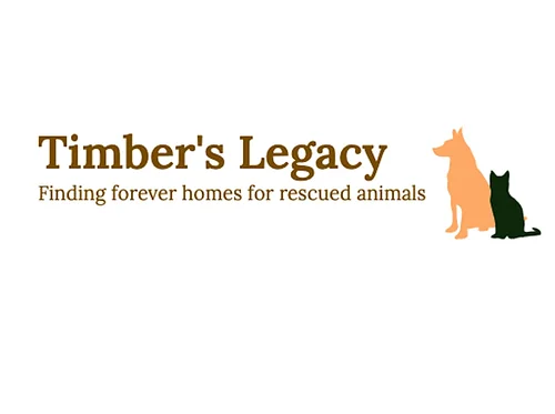Timber’s Legacy at PS/IS Spring Market, Middle Village