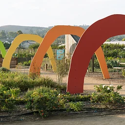 Birding Tour at The Ecology Center