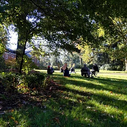 Sound Bath Meditation: Fall Section