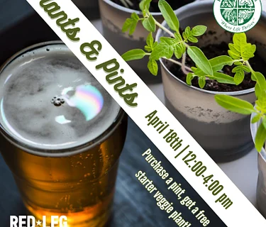 Plants & Pints with Phelan Gardens