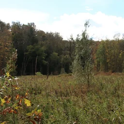 Hike into December: Field to Forest & Griffith Trails