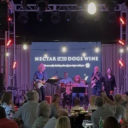 LIVE Music: Chris Hartz & Side of Relish