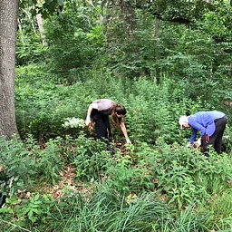 Saturday, Nov 7, 2026 @ 9:30 am Park-Keeping