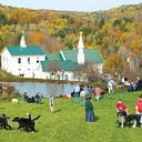 Fall Dog Party
