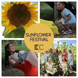 Sunflower Festival {Fam Friendly, Ticketed}