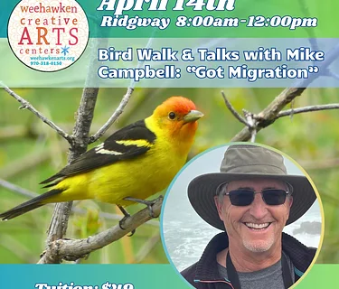 Ridgway Bird Walks & Talks: Got Migration