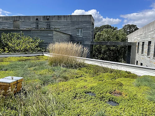 Green Roof Tour