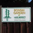 Bonsai Garden at Lake Merritt